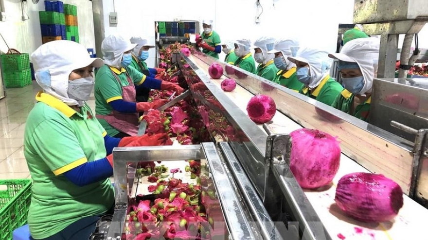 Diversifying markets – key for agricultural product exports to achieve yearly target: experts